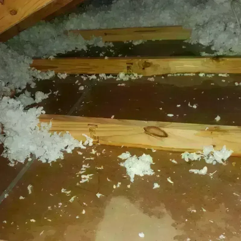 Attic Water Damage in Pacific, WA