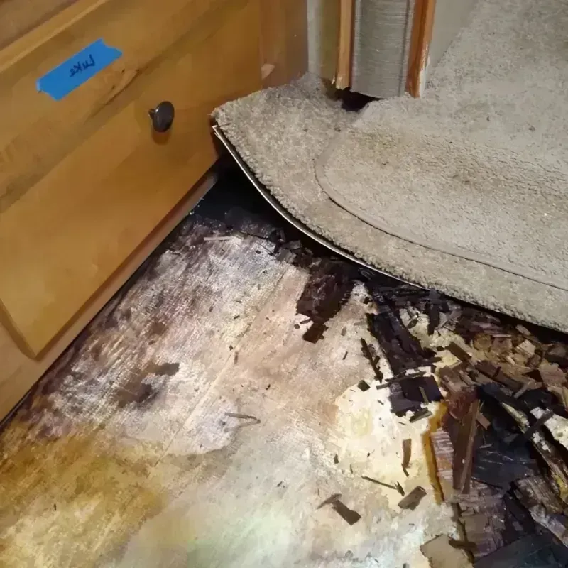 Wood Floor Water Damage in Pacific, WA